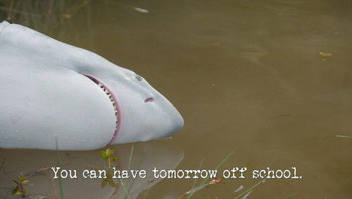 You Can Have Tomorrow Off School