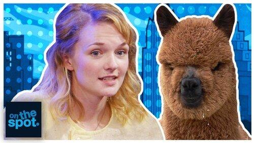 The Alpaca Show - #131 The Alpaca Show - #131