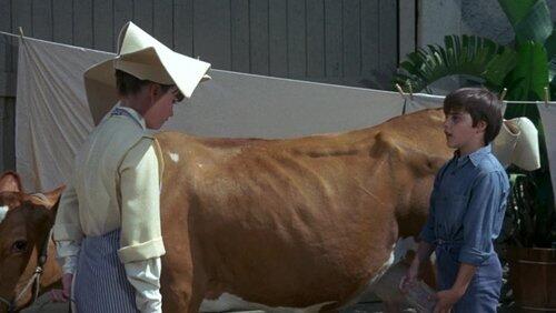 The Moo is Blue The Moo is Blue