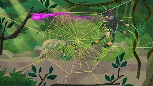 Secrets of the Spider's Web Secrets of the Spider's Web