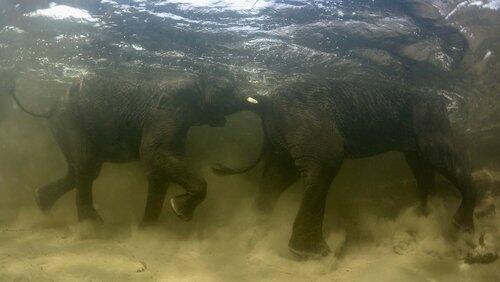 Okavango Okavango