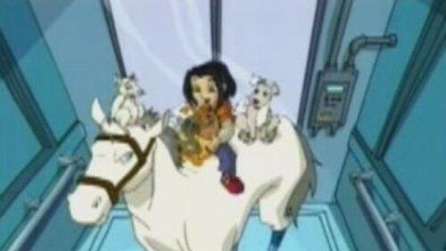Animal Crackers Animal Crackers