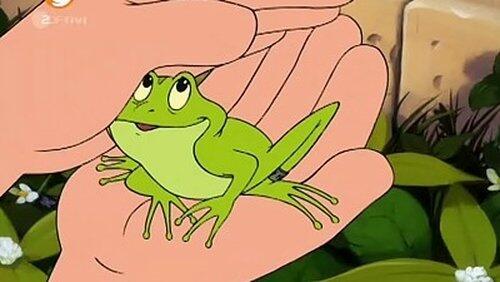 Der Wetterfrosch Der Wetterfrosch