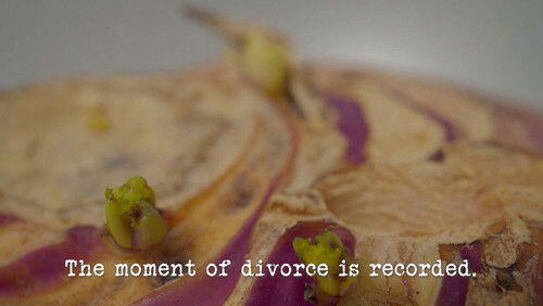 The Moment of Divorce is Recorded