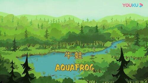 Aquafrog Aquafrog