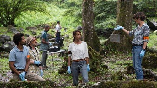 Forêt de Reculée Forêt de Reculée
