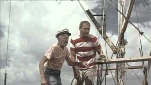 Flipper and the Fugitive (2) Flipper and the Fugitive (2)
