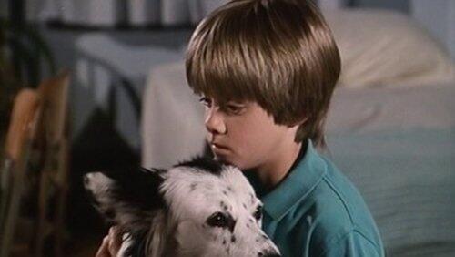Man's Best Friend (2) Man's Best Friend (2)