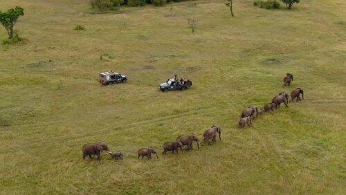 Africa Africa