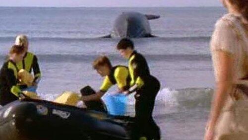 Charlie is Stranded Charlie is Stranded