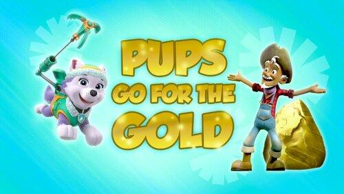 Pups Go for the Gold Pups Go for the Gold