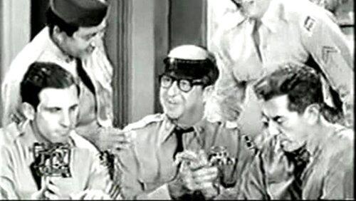 Bilko's Allergy Bilko's Allergy