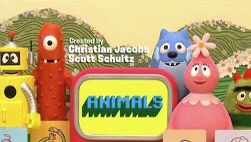 Animals Animals
