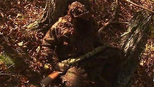 Swamp Stalker Swamp Stalker