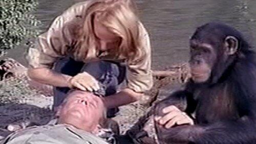 Terror in the Bush Terror in the Bush