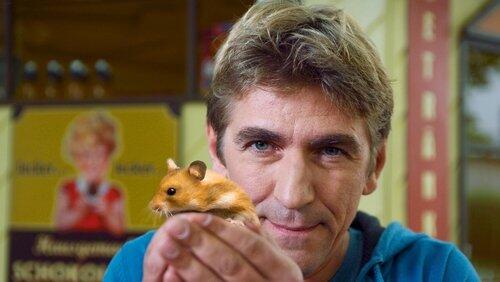 Hamster - Dicke Backen in Bärstadt Hamster - Dicke Backen in Bärstadt
