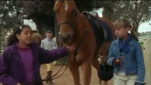 School Horse School Horse