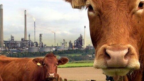 A Farm for the Future A Farm for the Future