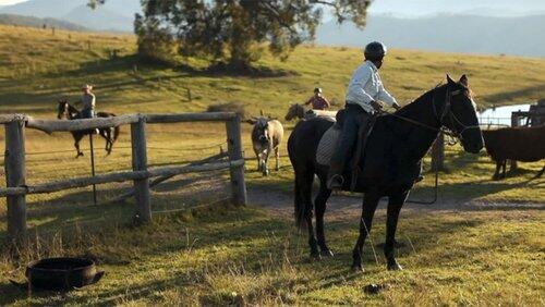Cattle Muster Cattle Muster