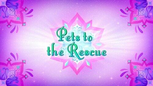 Pets to the Rescue Pets to the Rescue