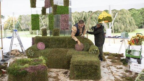 Sod and the City Sod and the City