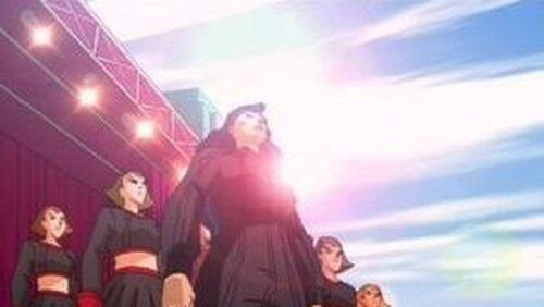 Black Widows Black Widows