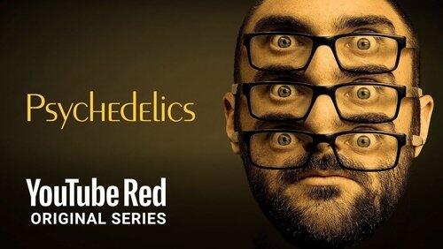 The Psychedelic Experience The Psychedelic Experience