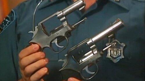 Police Guns Police Guns