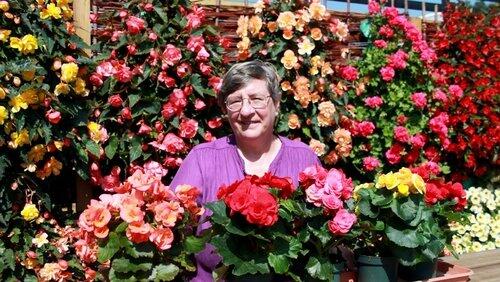 Fruit Trees and Ornamental Bedding Fruit Trees and Ornamental Bedding