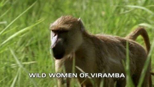 Wild Women of Viramba Wild Women of Viramba