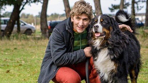 Hunde - Keks ist verschwunden Hunde - Keks ist verschwunden