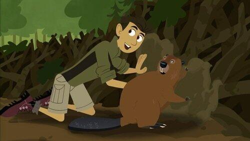 Build It Beaver Build It Beaver