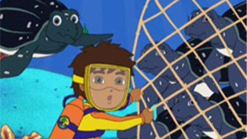 Save the Sea Turtles Save the Sea Turtles