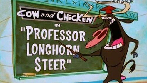 Professor Longhorn Steer