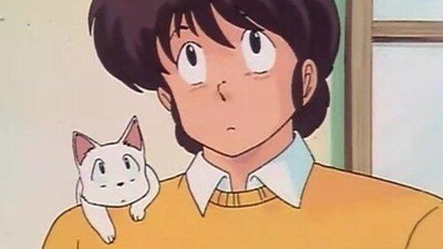 Godai's Panic! The Cat Who Came to Ikkoku. Godai's Panic! The Cat Who Came to Ikkoku.