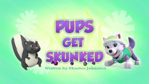 The Pups Winter Wonder Show The Pups Winter Wonder Show