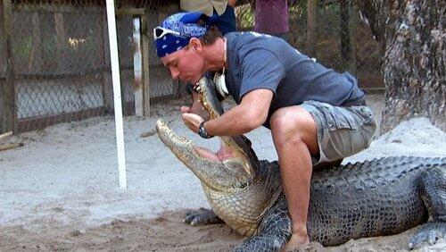 Swamp Tech Swamp Tech