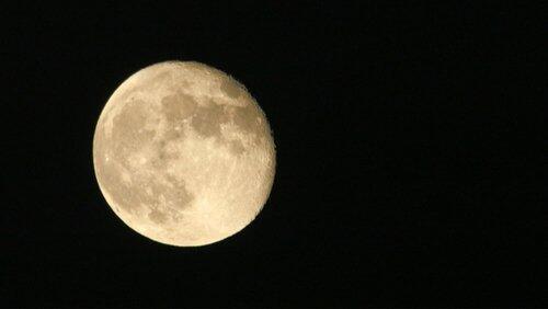 Moon Moon