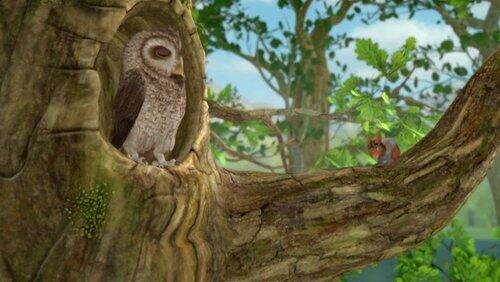 The Tale of the Grumpy Owl The Tale of the Grumpy Owl
