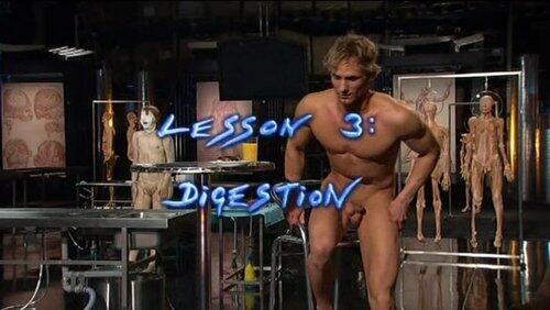 Digestion Digestion