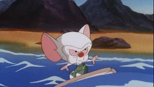 Beach Blanket Brain Beach Blanket Brain