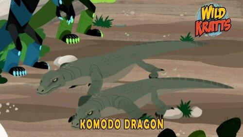 Komodo Dragon Komodo Dragon