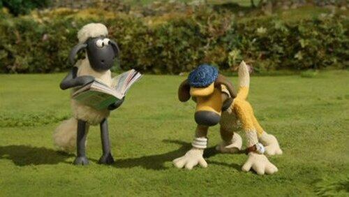 Bitzer's Basic Training Bitzer's Basic Training