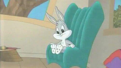 Lights! Camera! Tweety!