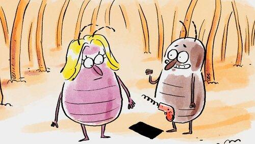 Les animaux s'aiment comme des bêtes