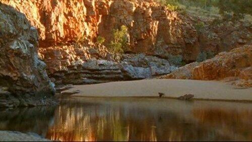 Australia: Taking the Heat Australia: Taking the Heat