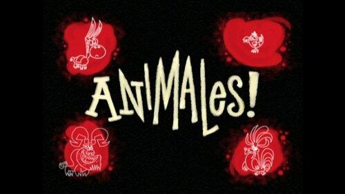 Animales! Animales!