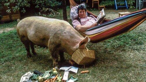 In Peters Garten schmatzt ein Schwein In Peters Garten schmatzt ein Schwein