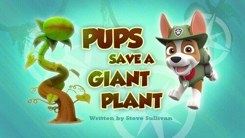 Pups Raise the Paw Patroller Pups Raise the Paw Patroller