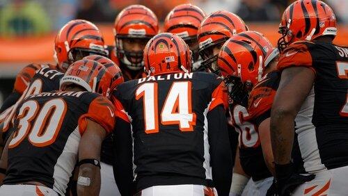 Training Camp with the Cincinnati Bengals #2 Training Camp with the Cincinnati Bengals #2
